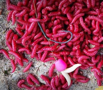 Vine iarna - nicolas-levine-4.jpg